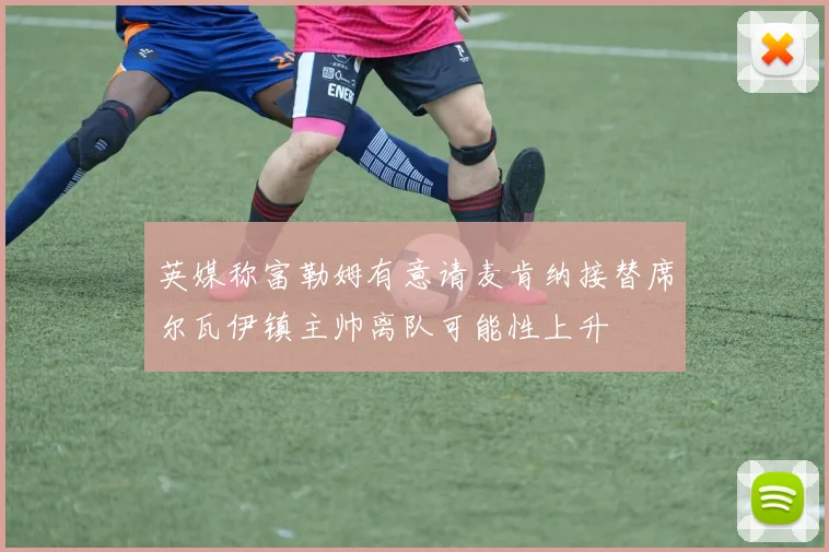英媒称富勒姆有意请麦肯纳接替席尔瓦伊镇主帅离队可能性上升